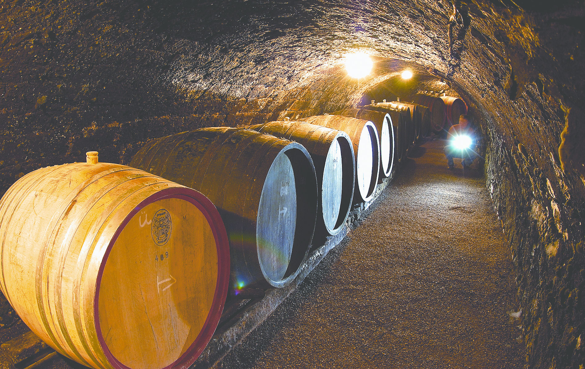 Royal Tokaji Wine Barrels