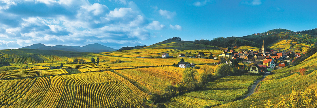 Grand Cru Alsace vineyard and village