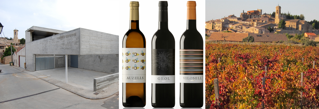 Tomas Cuisine vineyard and wines